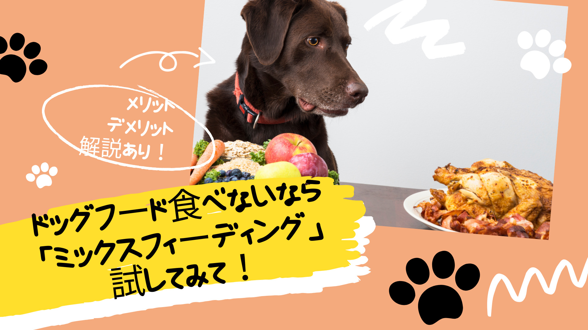 ブッチ butch 無添加ドッグフード 800g×3 3本セット – WANPAQ