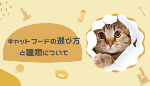 もうキャットフード選びで迷わない！～いらない添加物は？～