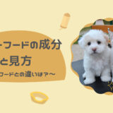 健康に影響する！ドッグフードとキャットフードの栄養バランスの違い