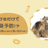 かけるだけで口臭予防！？猫の口腔のケアを気にしなくて良い日がくる