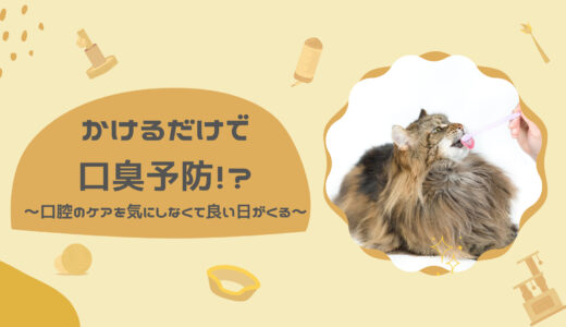 かけるだけで口臭予防！？猫の口腔のケアを気にしなくて良い日がくる