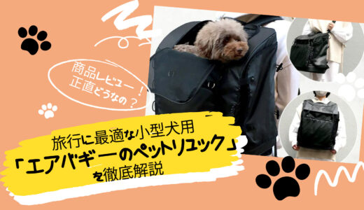 【商品レビュー】旅行に最適な小型犬用「エアバギーペットリュック」の魅力を徹底解説