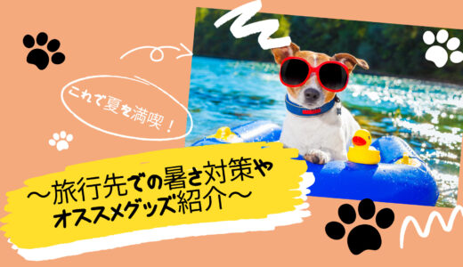 【犬旅行暑さ対策】～旅行先での暑さ対策やオススメグッズ紹介～