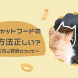 1日でも長く鮮度をキープ！キャットフード鮮度維持の保存方法と注意すべきポイント