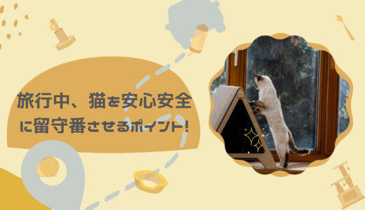 旅行中、猫を安心安全に留守番させるポイント！