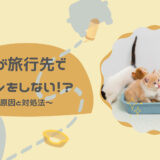 猫が旅行先でトイレをしない！？～原因と対処法～