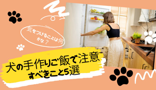 犬に手作りご飯を与える前に知っておくべき5つの注意点