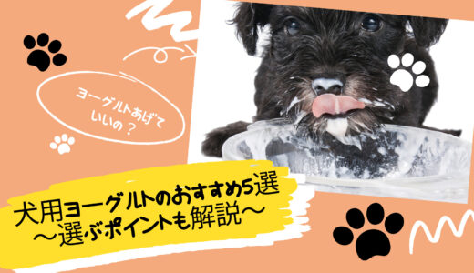 【徹底解説】犬もヨーグルトで腸内環境を整える！食べても安心なオススメ5選