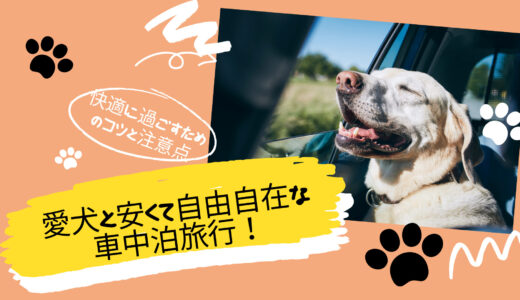 愛犬と安くて自由自在な車中泊旅行！快適に過ごすためのコツと注意点