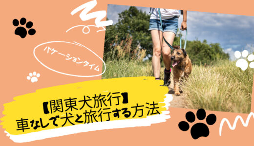 【関東発の犬旅行】車なしでも犬との旅行を満喫するオススメの方法は？（バス・電車・タクシー）