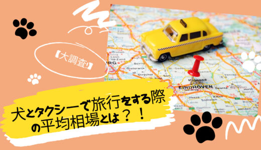 【思ったより安い！？】人見知り犬と貸切タクシーで旅行を満喫！～平均相場も紹介～