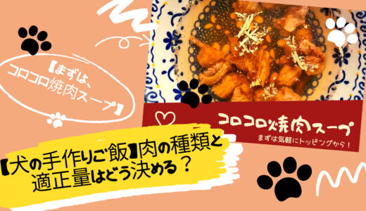 【犬の手作りご飯】肉の種類と適正量はどう決める？【犬の管理栄養士マスターに学ぶ】