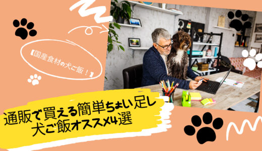 【国産食材の手作り犬ご飯！】通販で買える簡単ちょい足し犬ご飯オススメ4選