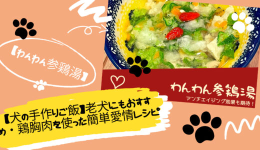 【犬の手作りご飯】老犬にもおすすめな鶏胸肉を使った簡単愛情レシピ【犬の管理栄養士マスターに学ぶ】