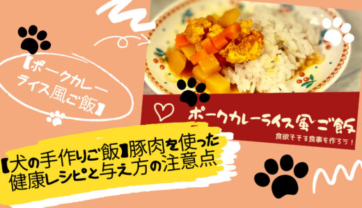 【犬の手作りご飯】豚肉を使った健康レシピと与え方の注意点【犬の管理栄養士マスターに学ぶ】