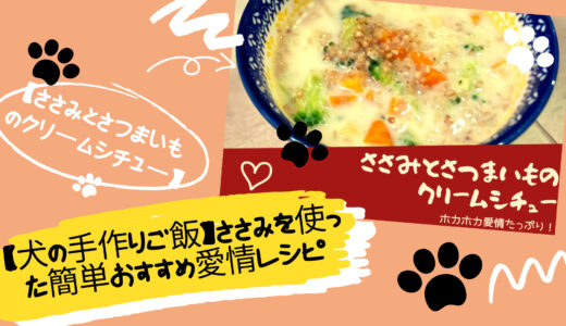 【犬の手作りご飯】ささみを使った簡単おすすめ愛情レシピ【犬の管理栄養士マスターに学ぶ】