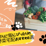 【品揃えや安全性も◎】犬の手作りご飯にぴったりの無添加野菜宅配おすすめ6選