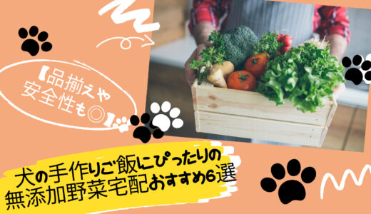 【品揃えや安全性も◎】犬の手作りご飯にぴったりの無添加野菜宅配おすすめ6選