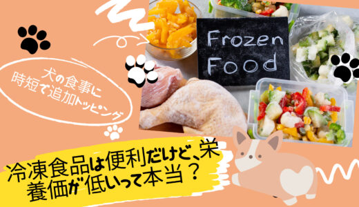 冷凍食品は便利だけど、デメリットないの？犬の食事に時短で追加トッピング