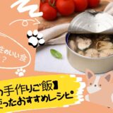 【犬の手作りご飯】サバを使ったおすすめレシピ