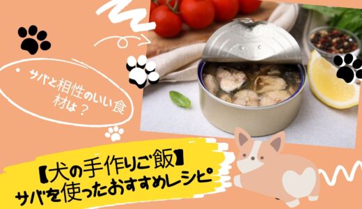 【犬の手作りご飯】サバを使ったおすすめレシピ